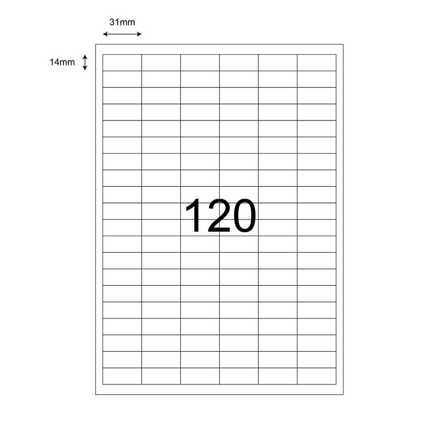 31mm x 14mm Lazer Etiket